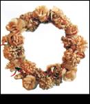 Descrição: D:\Carolina\ESTUDOS\DOUTORADO\TESE\Imagens\FOLDER_Cultura1 - 21.jpg